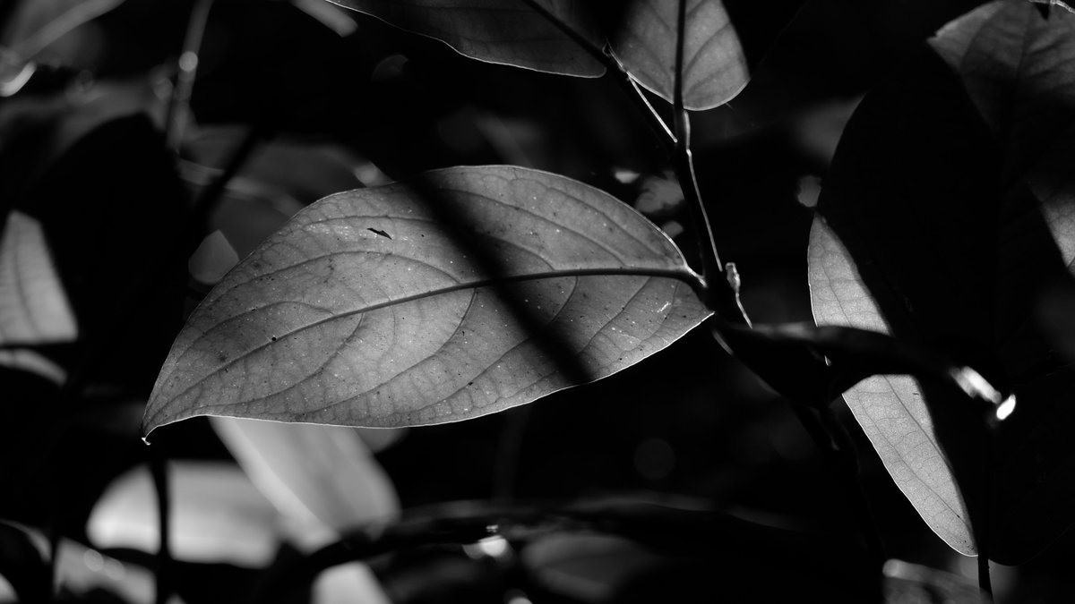 This concludes my take over of the social media accounts at TRACE. I had a great time posting about the work that I do. Feel free to send us more questions and I'll be more than happy to answer them in the upcoming days. Have a great weekend!