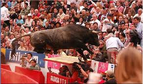 Portal Taurino (@portaltaurino) on Twitter photo Hoy hace 15 años en <a href="/LaPlazaMexico/">La Plaza Mexico</a> el toro "Pajarito" de Cuatro Caminos hizo honor a su nombre y "voló" hasta el tendido donde estuvo casi un minuto, provocando siete heridos, dos de ellos graves AQUÍ el VIDEO del incidente youtube.com/watch?v=mFcz3g…
<a href="/portaltaurino/">Portal Taurino</a> Hoy hace 15 años en <a href="/LaPlazaMexico/">La Plaza Mexico</a> el toro "Pajarito" de Cuatro Caminos hizo honor a su nombre y "voló" hasta el tendido donde estuvo casi un minuto, provocando siete heridos, dos de ellos graves AQUÍ el VIDEO del incidente youtube.com/watch?v=mFcz3g…
<a href="/portaltaurino/">Portal Taurino</a>