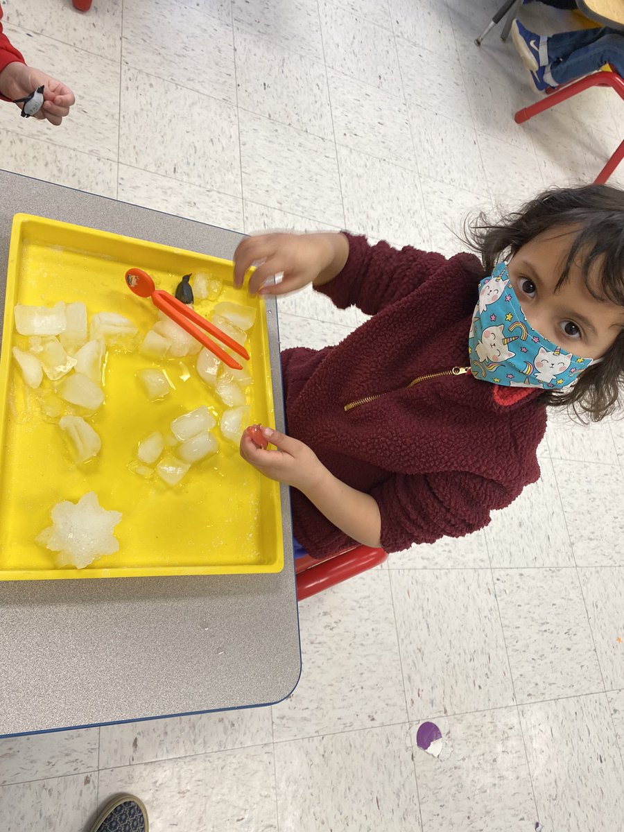 mrsbivaletz's tweet photo. Pretending we are in the Arctic (it feels like it, anyway!!!) by playing and building with ice cubes 🧊 🥶 https://t.co/S0yGi9lrl8