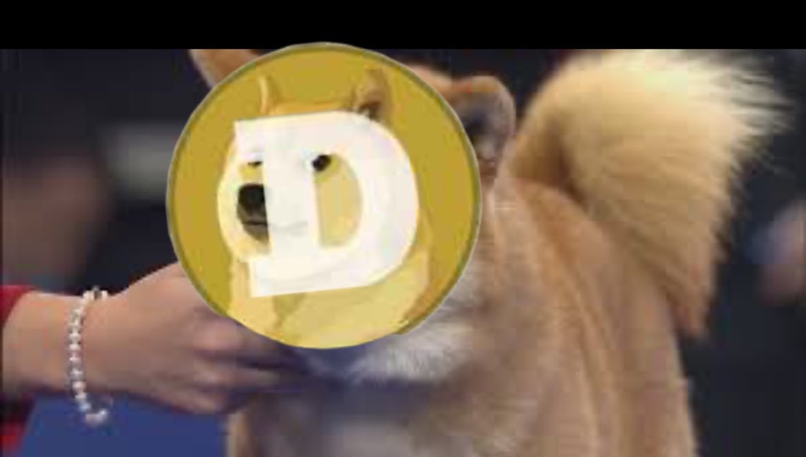 TheCoachRed_'s tweet photo. Stock market is closed. Now it’s time for the #DOGE show. It’s #Dogecoin 🚀🚀 https://t.co/RHtqMsLhPq