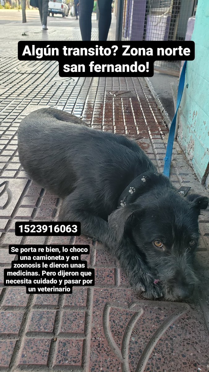 _fedezimmer_'s tweet photo. Si me ayudan a difundirlo se los agradeceria un montón https://t.co/t6gzscJ2xz