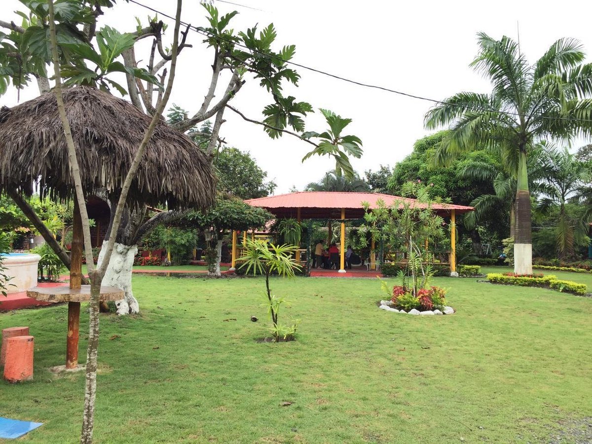 PlanificacionEc's tweet photo. ¡Emprendedores de todo el país esperan por ti! #PlanificaEcuador #Zonal8 visitó la Finca Agroturística #VasijaDeBarro, la cual ofrece recorridos en su diversa flora y fauna con medidas de bioseguridad. #SembramosFuturo https://t.co/JZM1Bur0vm