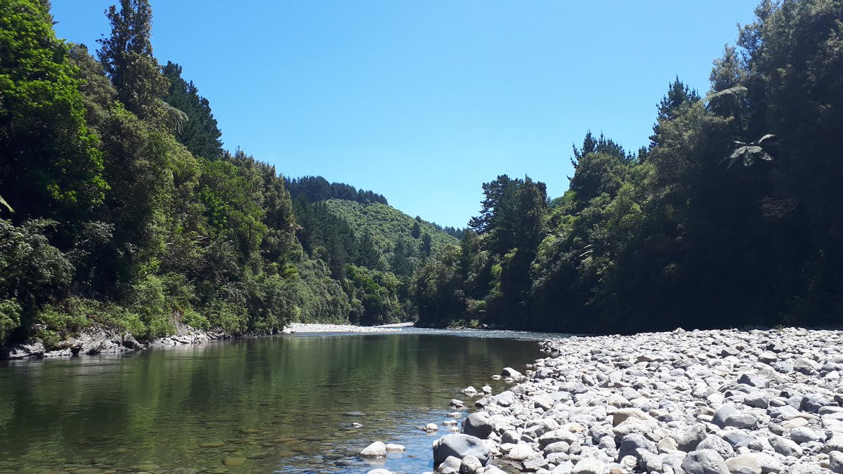 n_j_day's tweet image. Had an excellent time this week getting to know other early career researchers from across disciplines at my university and discussing how to succeed. Led by the amazing @sutherka 😃 #VECAP #ECR