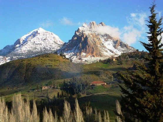 chakib 🇩🇿 tweet media