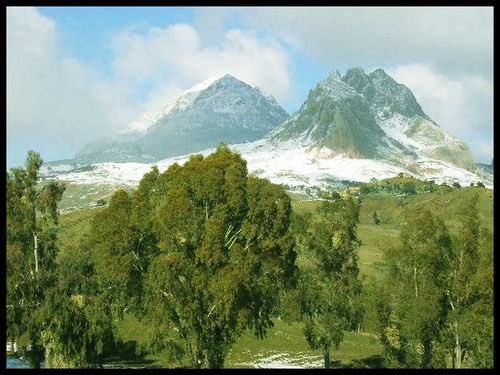 chakib 🇩🇿 tweet media