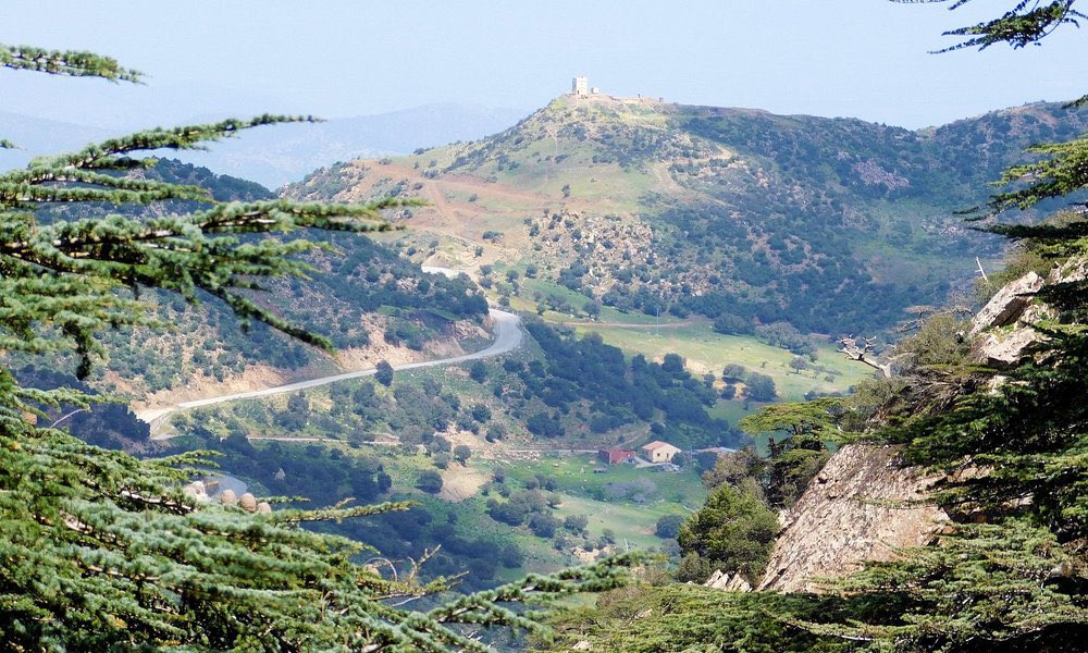 chakib 🇩🇿 tweet media