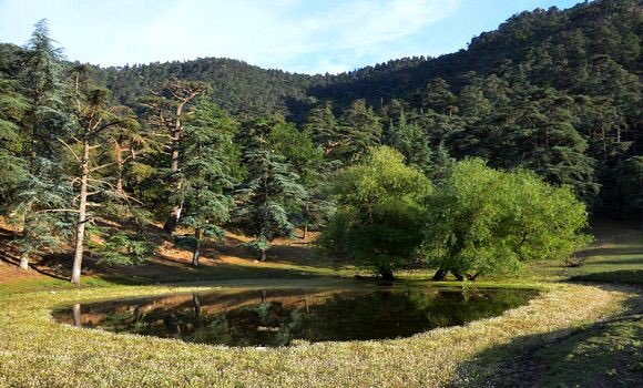 chakib 🇩🇿 tweet media