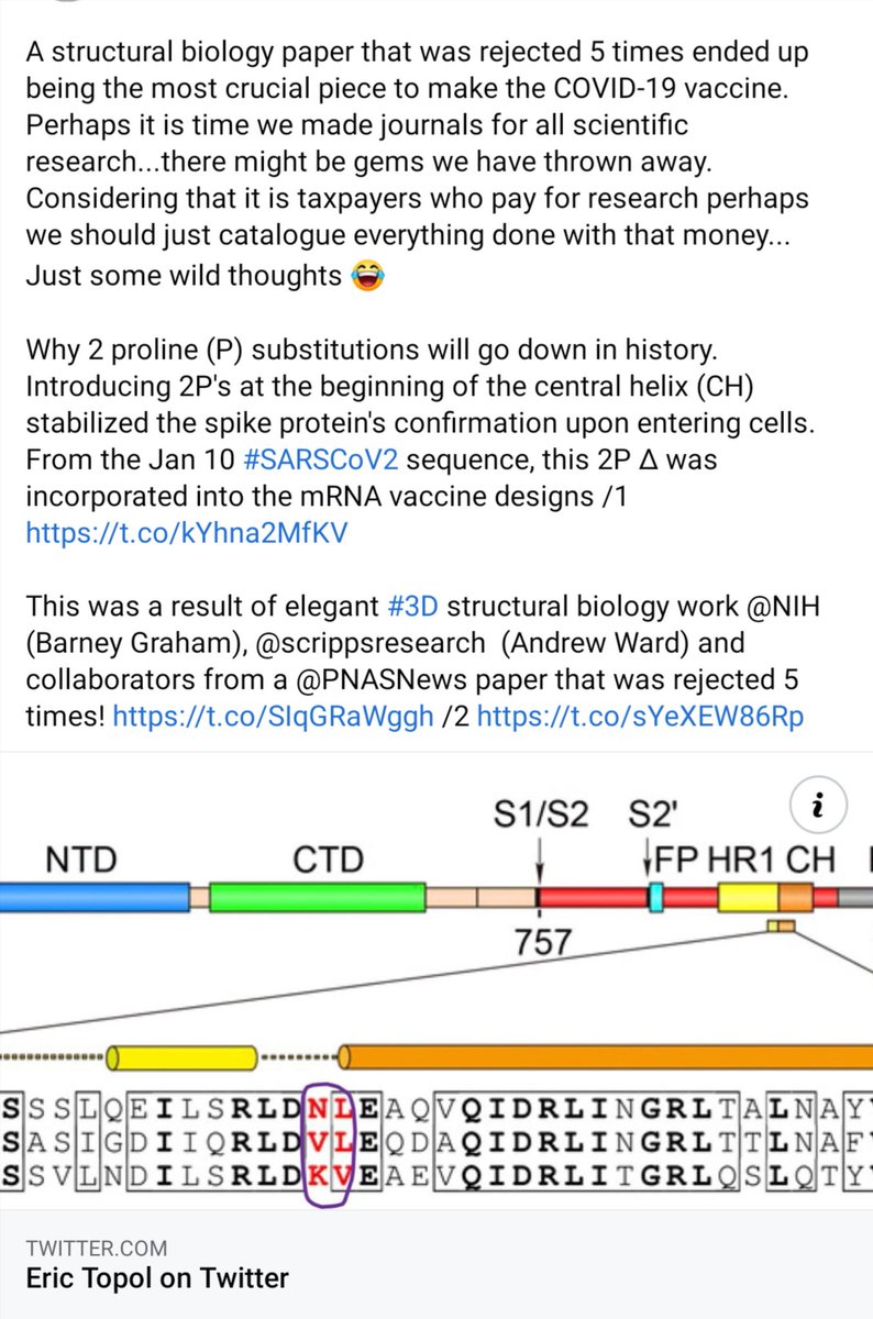 16. In fact, the paper that made the knowledge of the spike protein was published in 2015 after having been rejected by journals 5 times! It is a story of perseverance and imagine if this knowledge had not be published... It could have a huge setback in terms of vaccine devpmt.