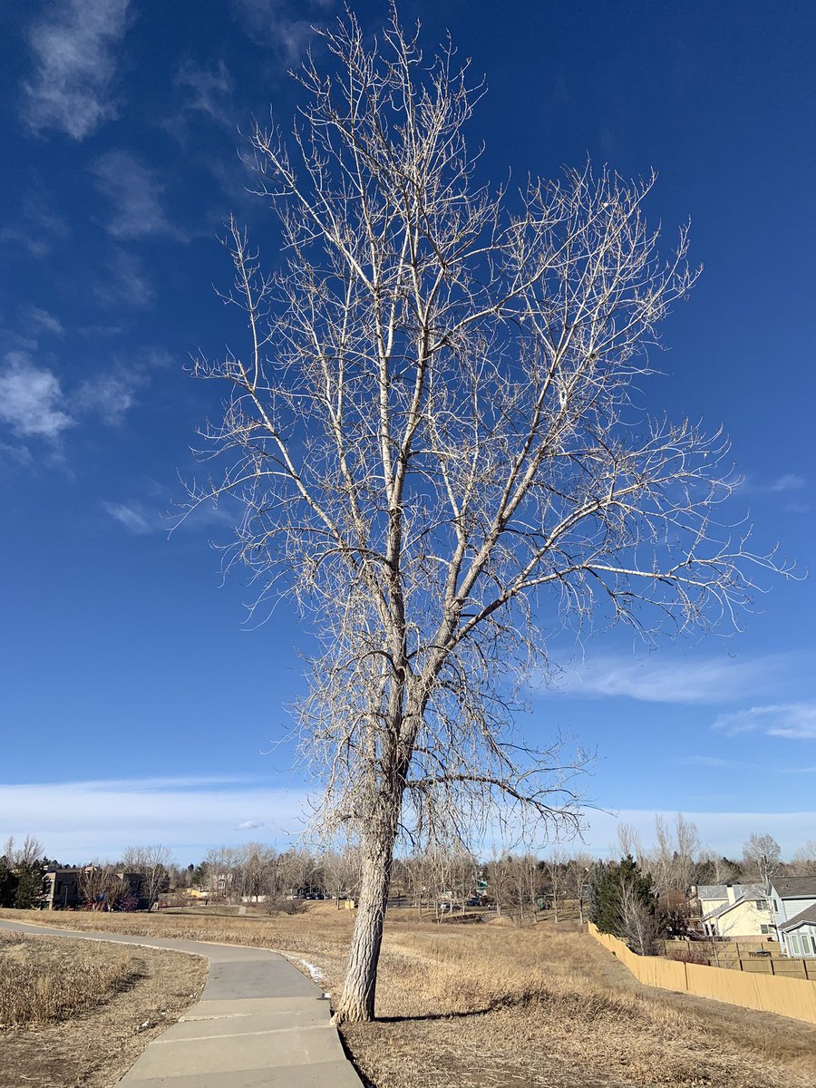 rdgswanson's tweet photo. Appreciating being outside! #nebextnature https://t.co/Sffh9aL4hT