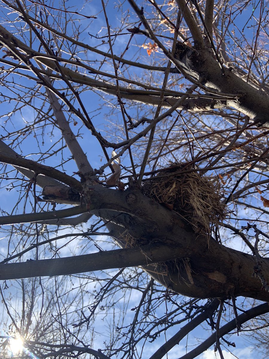 rdgswanson's tweet photo. Appreciating being outside! #nebextnature https://t.co/Sffh9aL4hT