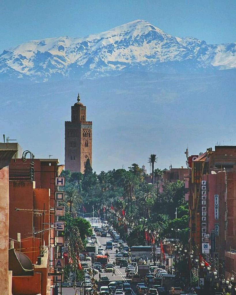 IguanaSaharaTo2's tweet photo. Your Travel Agency in Morocco 🇬🇧

#Morocco #Private #Tours
#SharedTrip  #DésertTours
#Marrakech4x4 #Quad #buggy #CamelTrek
#Japan #chaine #Spain #France 
#Holland #Germany #Italy #Switzerland
#Holiday #Trip #fez 
#Marrakech #Tanger #Agadir 
#iguanasaharatours https://t.co/xPuXPfizcv