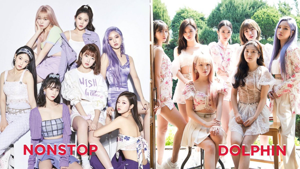 NONSTOP x DOLPHIN