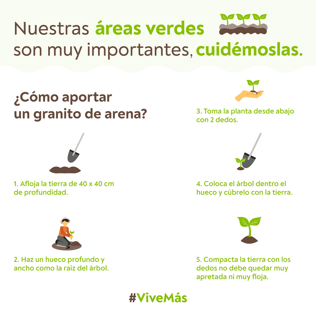 Sembremos árboles, sembremos sueños, sembremos cosas positivas. ¡Vive Más! #CeciliaLoría ✨🌳