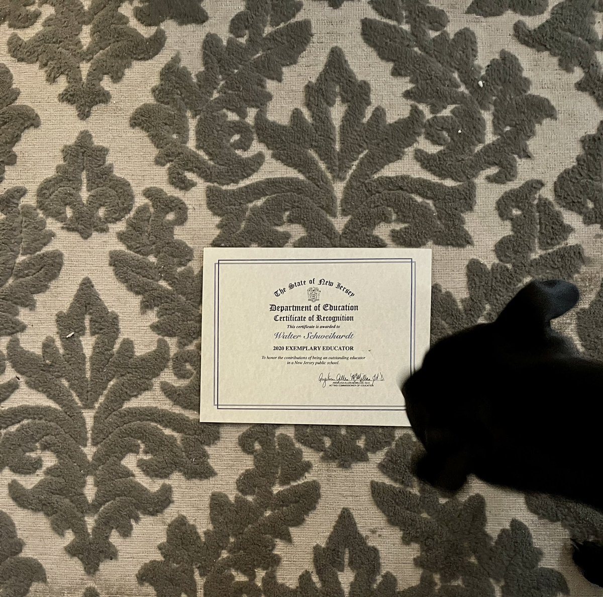 Michele Schweikardt tweet media