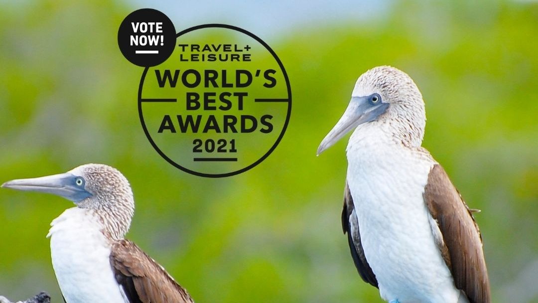 AdventureWomen tweet media