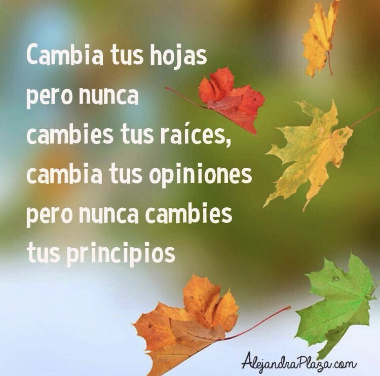 MaryCarmenRamRo's tweet photo. #mantentuescencia siempre firme!! https://t.co/0PGIfbaHTE