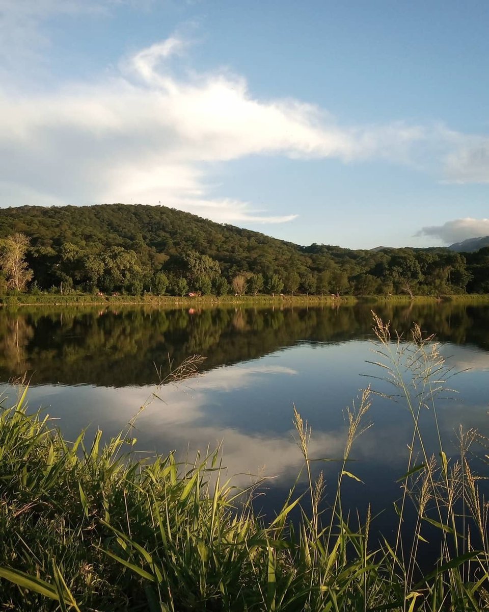 No tengo miedo al invierno
Con tu recuerdo lleno de sol.

Un día como hoy, hace 100 años, nacía Jaime Dávalos para revolucionar la poesía y dejar huella de su arte, desde Salta para el mundo ❤️

#TanLindaQueEnamora
#Salta