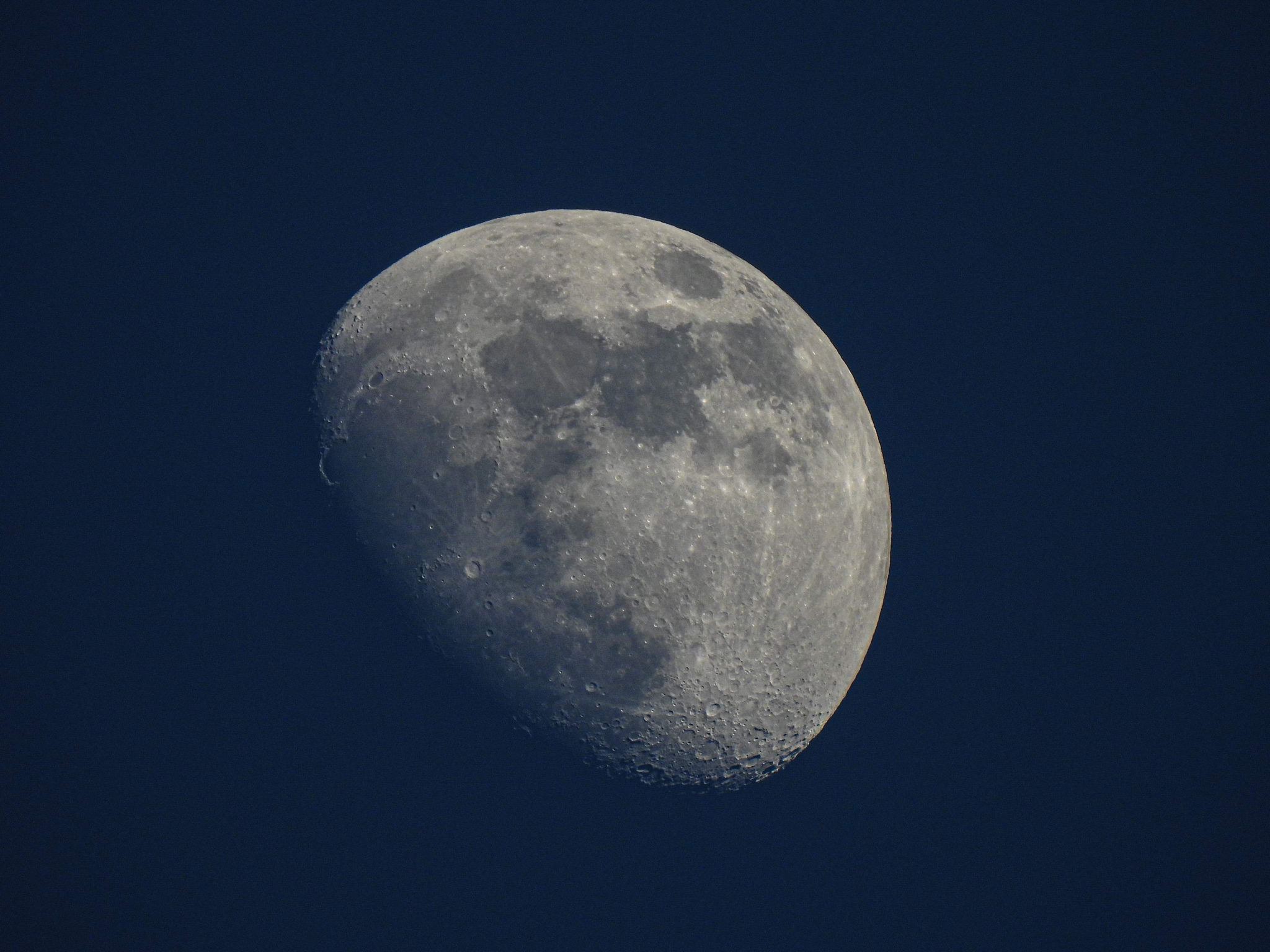 Kaycie Dunlap (@KaycieBashon) / Twitter