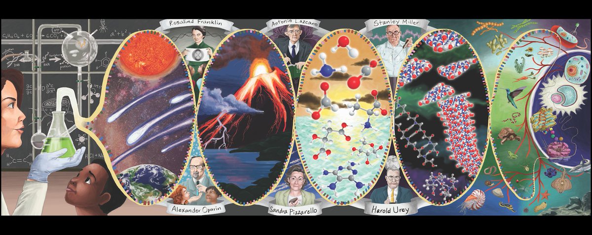 Chemical Evolution tweet media