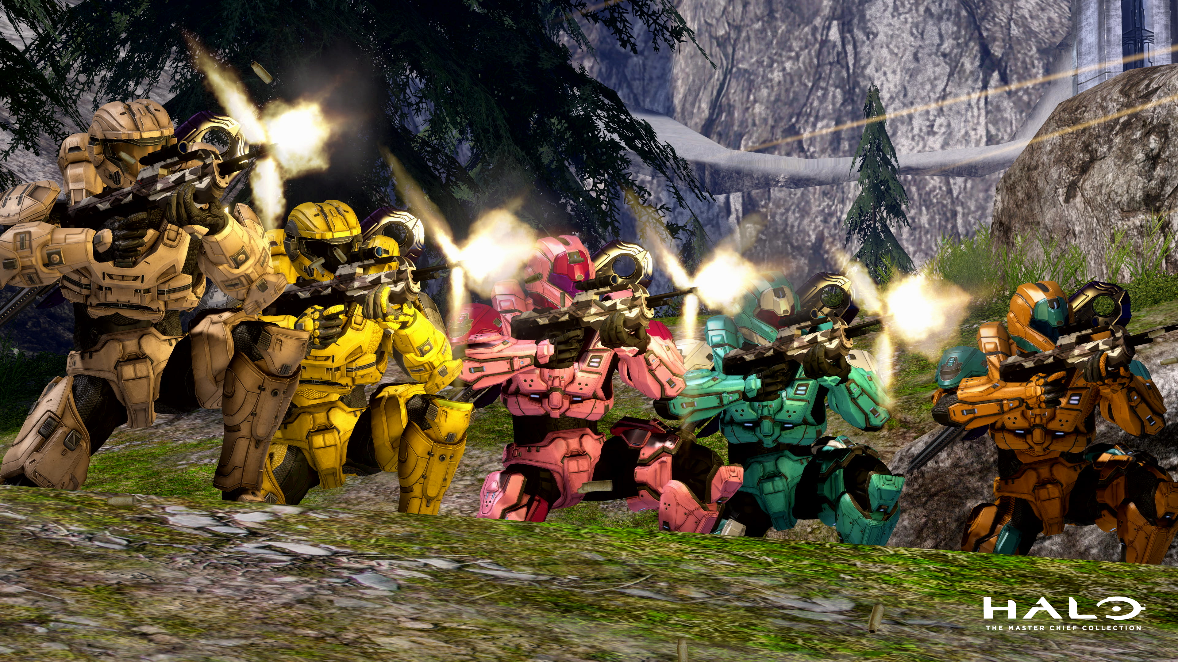 Halo on X