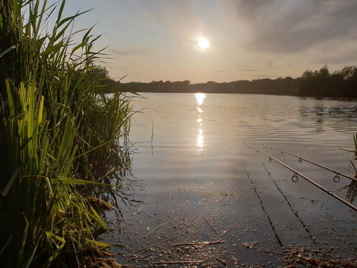 carperslog's tweet photo. Looking back on warmer days.
.
.
.
.
.
🏷  #carp #carperslog #wolf #catchreport #carpfishing
#Manilla #StickyBaits #scopexsquid #carpfishing #carpangling #carpangler #fishing #fisherman #angling #angler #bigcarp #carpy #nashbaits #carplife #lovefishing #carphunter #photography https://t.co/aYmp8VLIYf