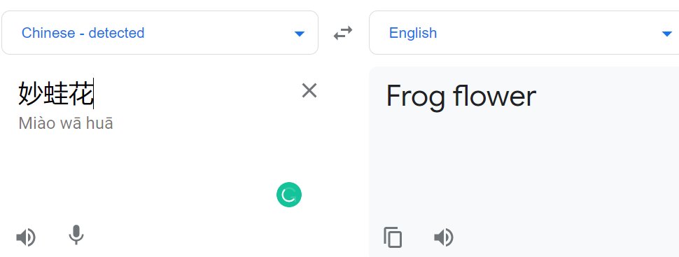 bulbasaur and vemusaur: