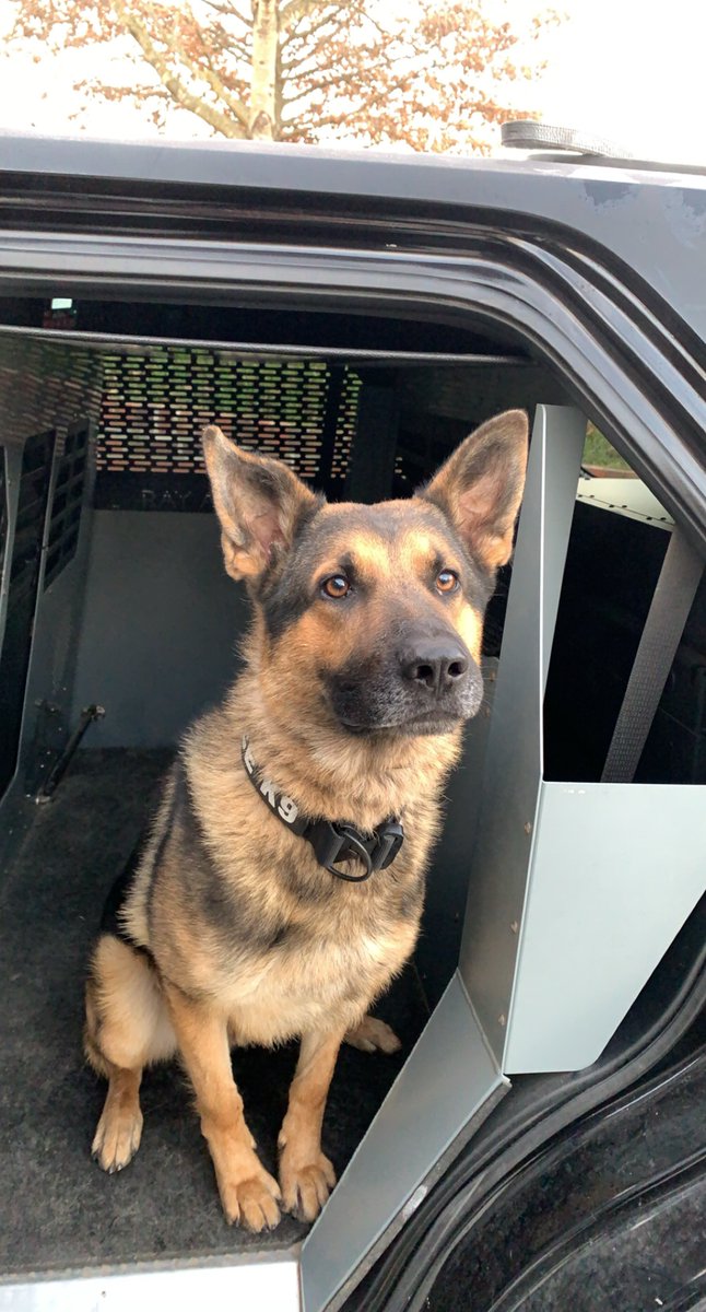JeffCityPolice's tweet photo. Officers contacted a 44 year old Columbia resident stopped in traffic and blocking the roadway at Missouri Blvd and Dix Road earlier today... He fled from the vehicle as officers arrived. He was apprehended a few feet away. Then K9 Diesel found this ..... Over 3 ounces of Meth https://t.co/aKz27LkxLk