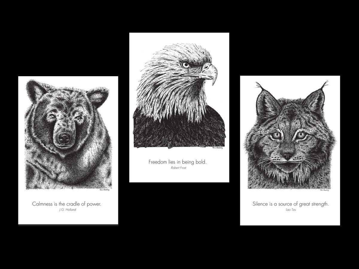 explorewithrene's tweet image. Setup an Estsy shop where you can find my #animal #postcards...
etsy.com/ca/shop/Explor…