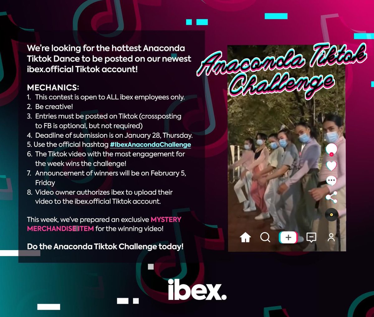 ibexbend tweet media