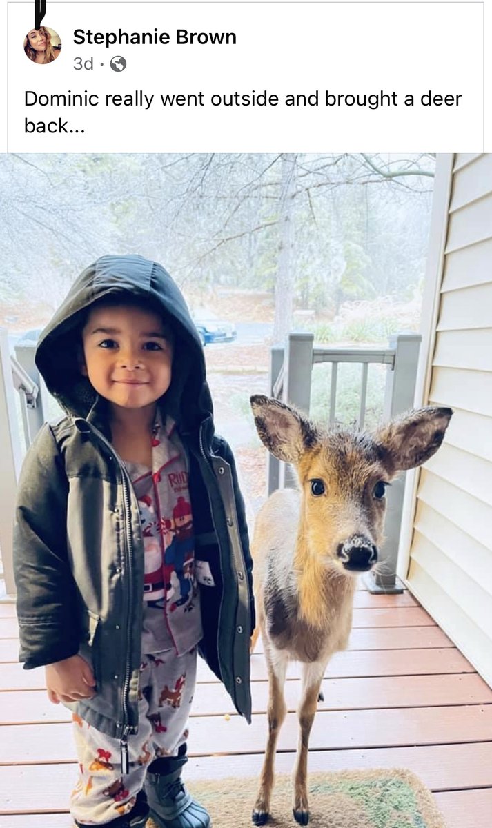 This picture is so pure. And also, Dominic showed up with the deer like “can he stay for dinner?”