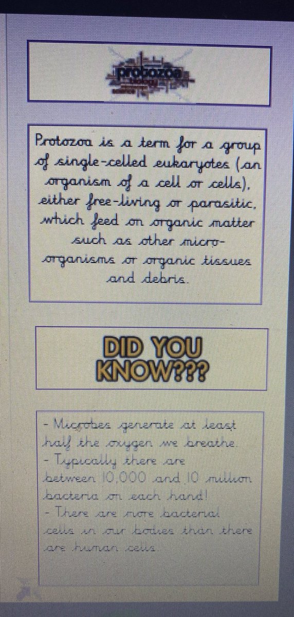 I am so impressed with this young lady’s writing about micro-organisms this week on <a href="/purpleMash/">Purple Mash</a> #remotelearning #expertlearner #Science #Year6 <a href="/Richmond_HT/">Richmond Academy</a>