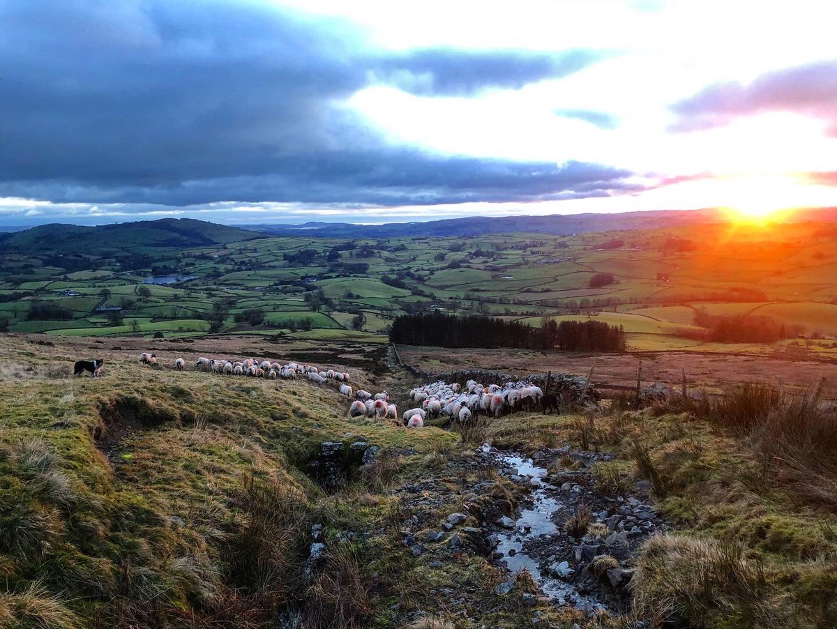 Tony Booth tweet media