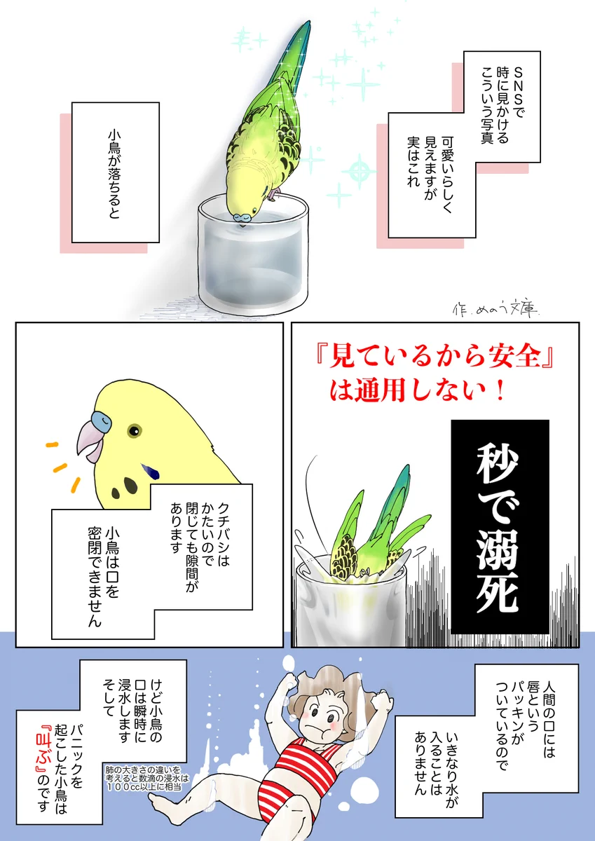 危険だから絶対にダメ！？インコにコップを使ってはいけない理由！