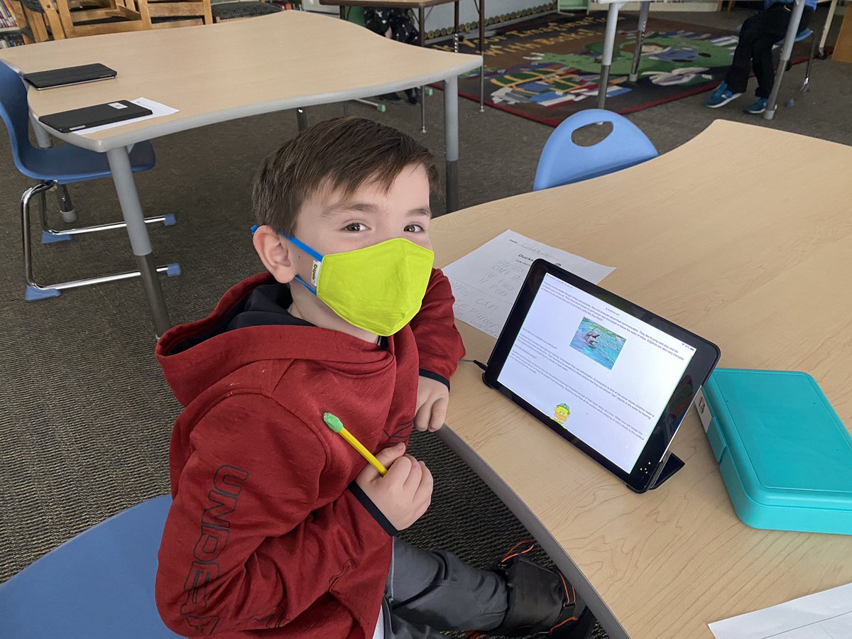 PES_Library's tweet photo. Second grade super stars β¨ Working on their research skills! #inspiringsuccess #PEStogetheras1 @s https://t.co/fzVb5741Rl