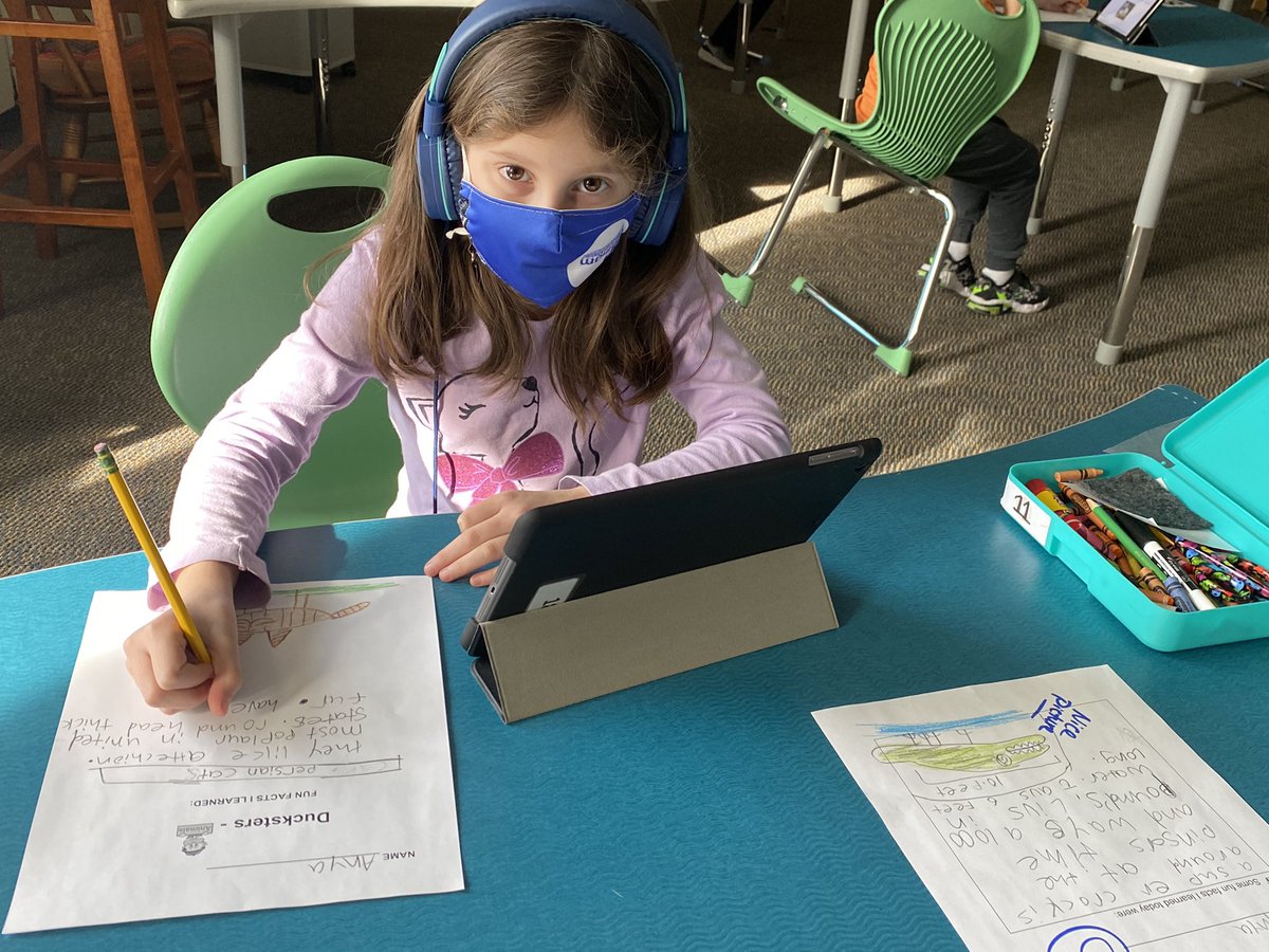 PES_Library's tweet photo. Second grade super stars β¨ Working on their research skills! #inspiringsuccess #PEStogetheras1 @s https://t.co/fzVb5741Rl