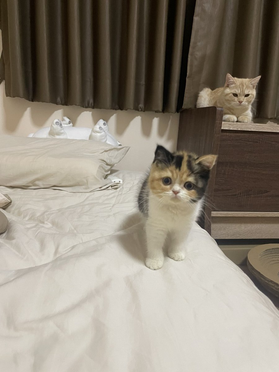 ทุกคนเค้าง่วงกันหมดแล้วบ๊วย