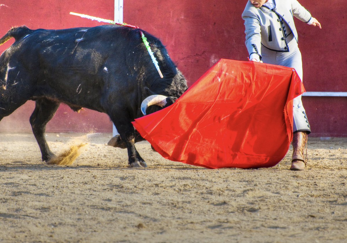 Ana Laura Martínez Escobar tweet media