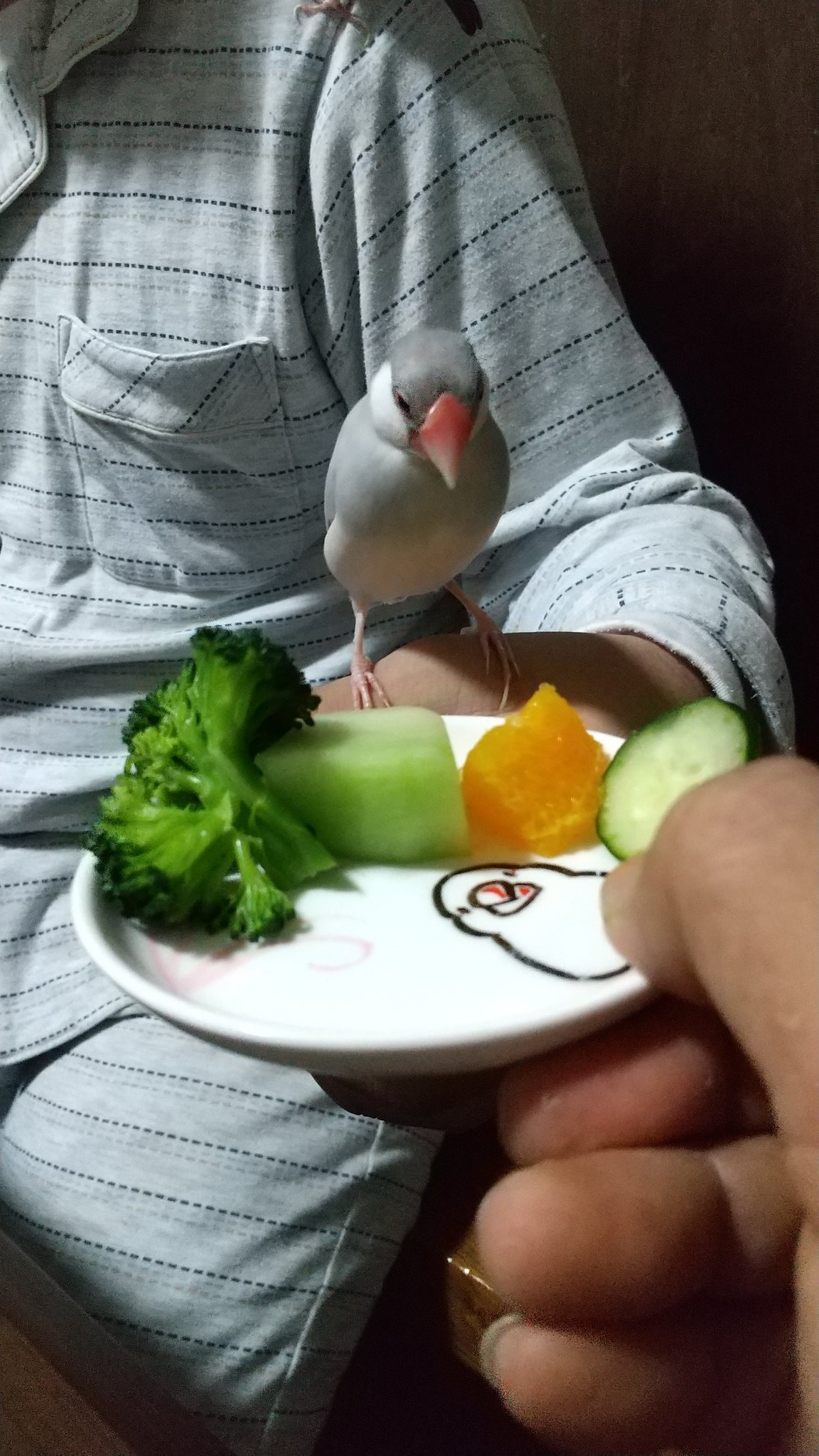 文鳥ハチピー Soranokiya Bun 文鳥様に害の無い野菜 果物 うちの子達はほとんど食べますよ V Twitter