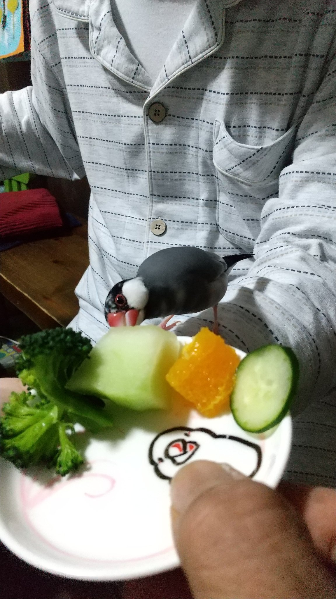 文鳥ハチピー Soranokiya Bun 文鳥様に害の無い野菜 果物 うちの子達はほとんど食べますよ V Twitter