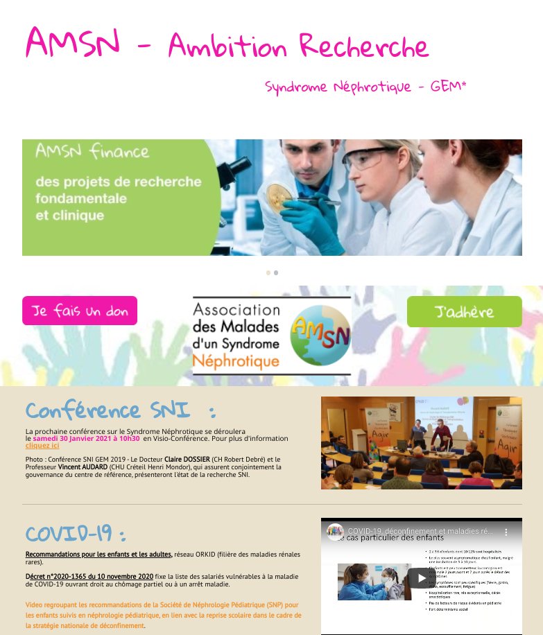 Site internet de l'AMSN : amsn.ambitionrecherche.fr