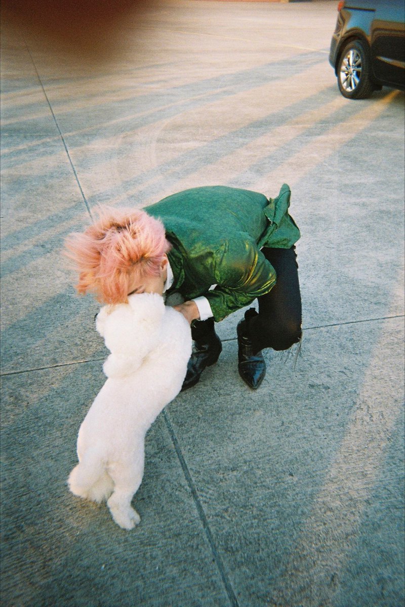 ShCy_Xz94's tweet photo. สุนัข​ทรงเลี้ยงของโอเซฮุน ชื่อวีวี่กับมูชยู อยู่ดีกินดีเลี้ยงหมากลายเป็นหมู วันเกิดก็จัดให้อวยพรลงในไอจีพาออกอีเว้นท์​ออกเอ็มวี ไม่กลับดึกเพราะห่วงน้องหมา 😂 https://t.co/b1OXRXQwsW