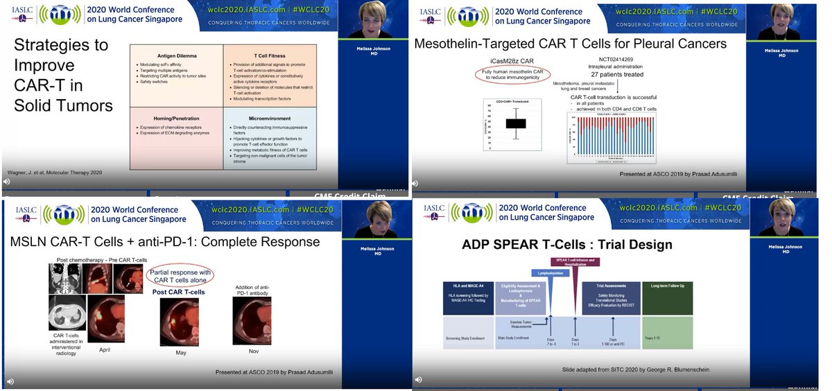#CellularTherapies in #NSCLC #WCLC20 #NowLive @IASLC  Solid Tumor Immune Effector Cell Therapies By @MLJohnsonMD2 
.
.
.
@OncoAlert  @gary_lyman @VivekSubbiah