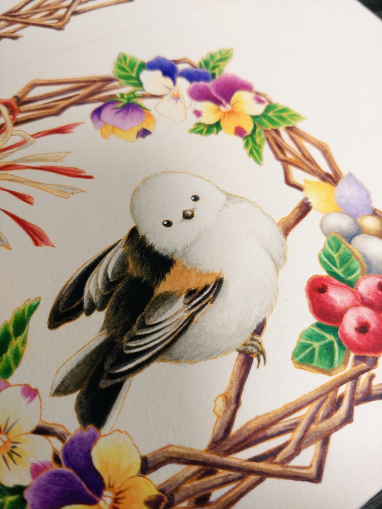 彩羽 愛鳥さんの似顔絵描きます 可愛くなった エナガ イラスト イラスト依頼 制作 野鳥 ことりほんぽ 彩羽 愛鳥さんの似顔絵描きます 可愛くなった エナガ イラスト イラスト依頼 制作 野鳥 ことりほんぽ