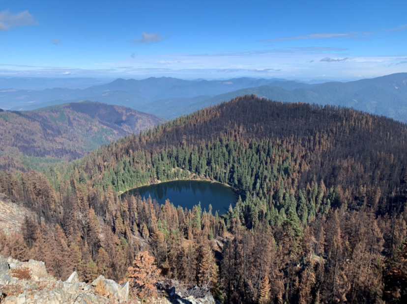 JohnMuirProject's tweet photo. Check out this great new blog about the beautiful Sucker Creek watershed, the infamous China Left Timber Sale &amp; the effects of the 2020 #SlaterFire. The post includes a Google Earth Aerial Photo Essay documenting fire effects throughout the fire area.
https://t.co/vNicNe6mvP https://t.co/MQz7RxrrR3