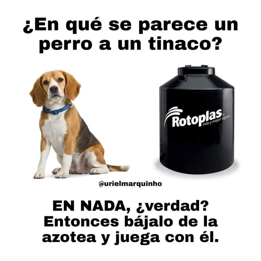 SuavesLomitos's tweet photo. https://t.co/7Pmlm7JigY