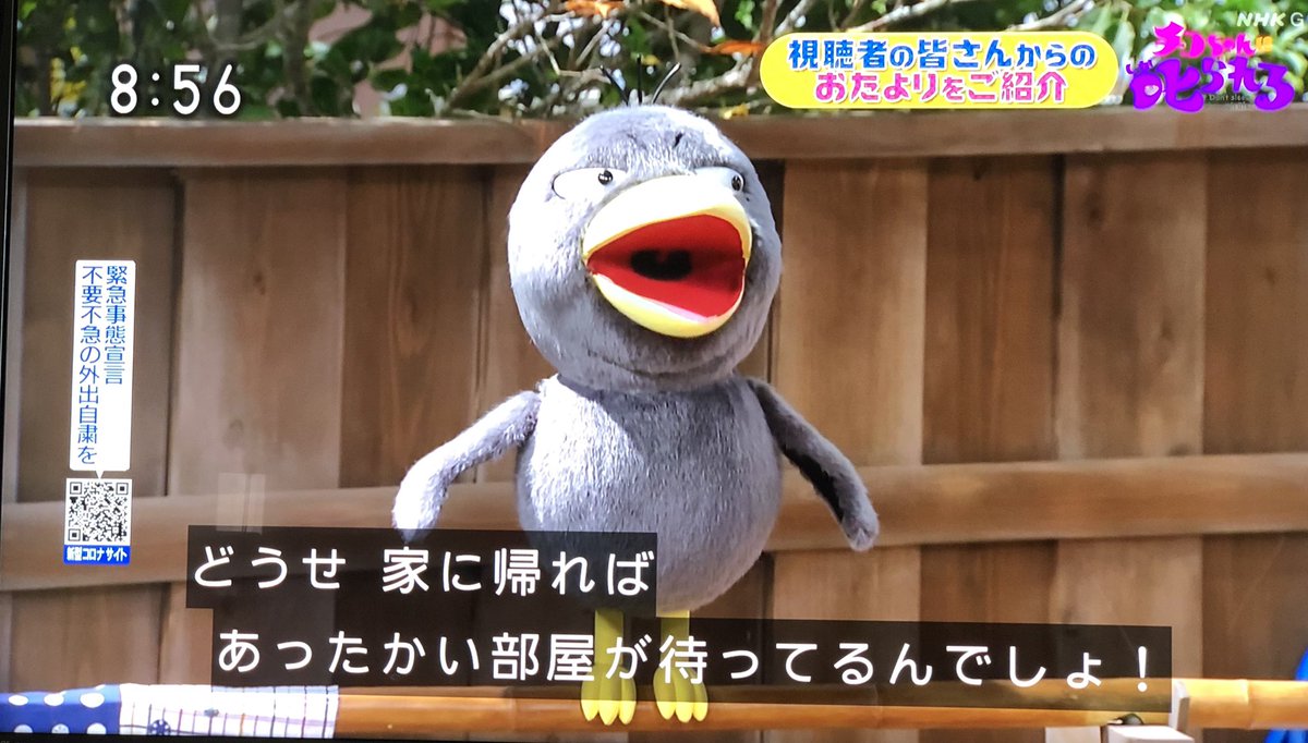 キョエ ちゃん 声優 キョエちゃんの声はいきものがかり吉岡聖恵 歌が上手すぎる 動画 Nonmedia