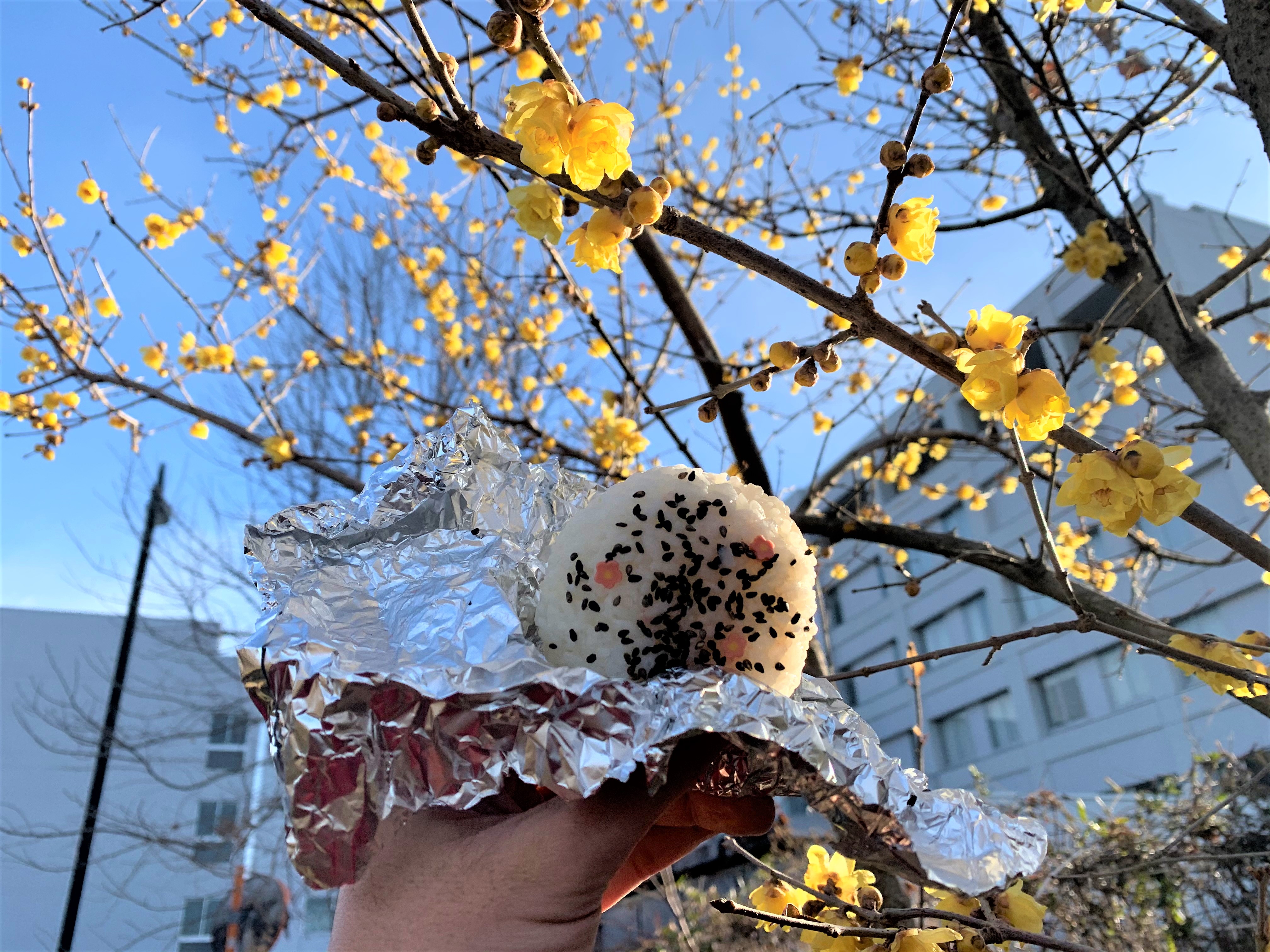 裸の大将放浪記 Twitter Search Twitter