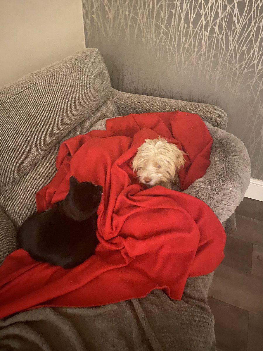 Friday night and these two, feeling the love!
Wherever you are; whatever you are going through... You’ve got this!!
And if you need a friendly listening ear...I’m here x
