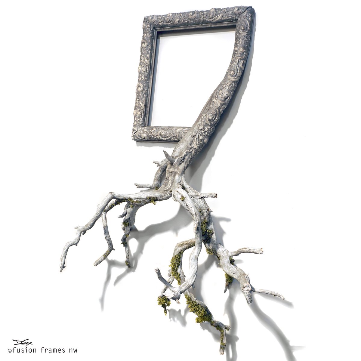 fusionframesnw's tweet photo. Newest release — January, an antique gesso frame, and juniper branch with preserved lichen. The bright gold frame, and brown  branch were both modified in honor of new beginnings.
More info on January can be found on my website. #January #art #retweet #interiordesign #surreal https://t.co/gGvWdrtPjc