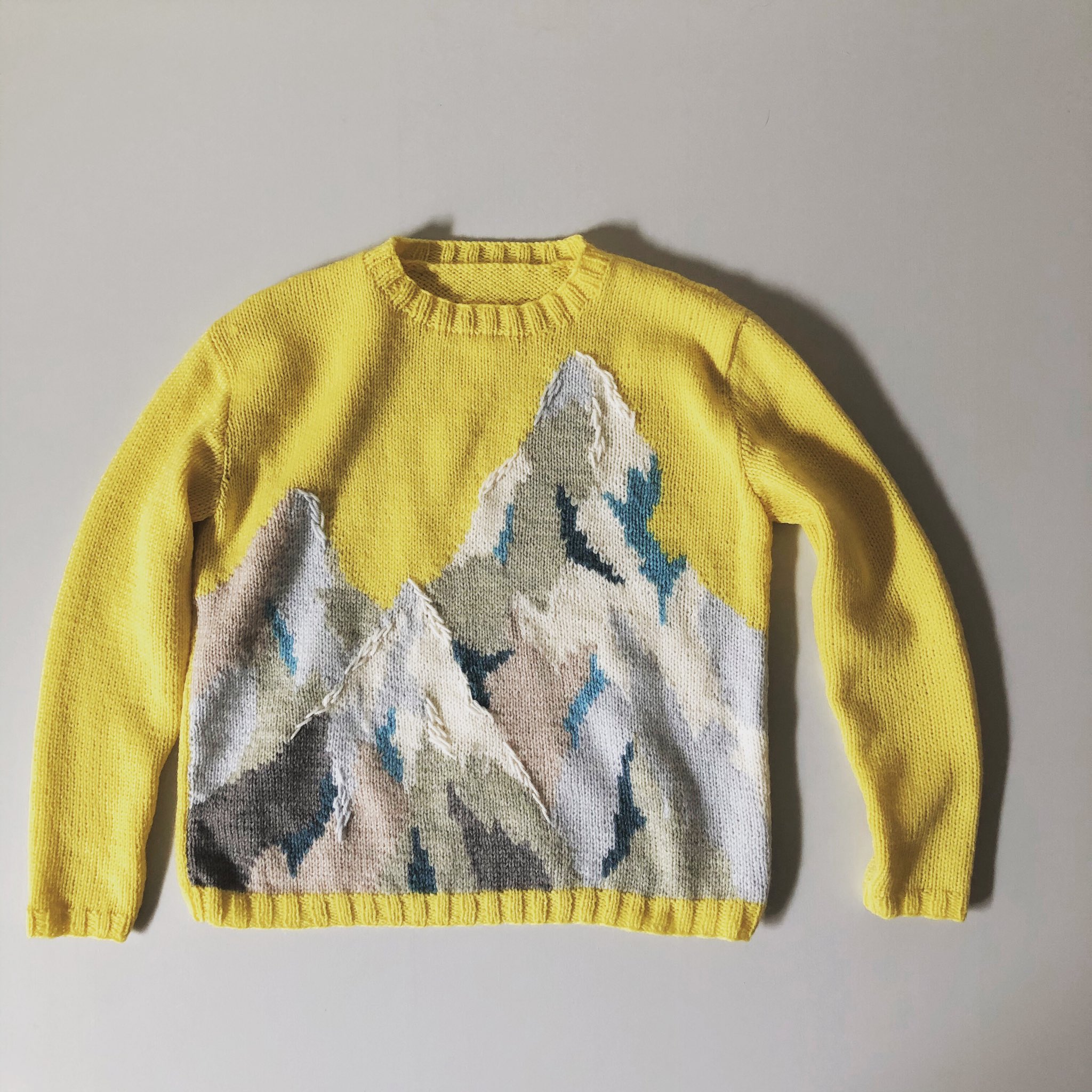 東海えりか アメリカンショートヘアのプルオーバーキット （Ravelry 
